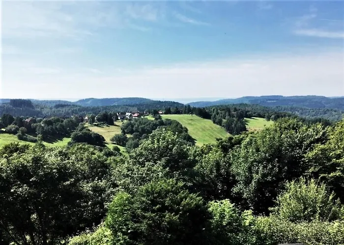 公寓 Harzperle Nr 6