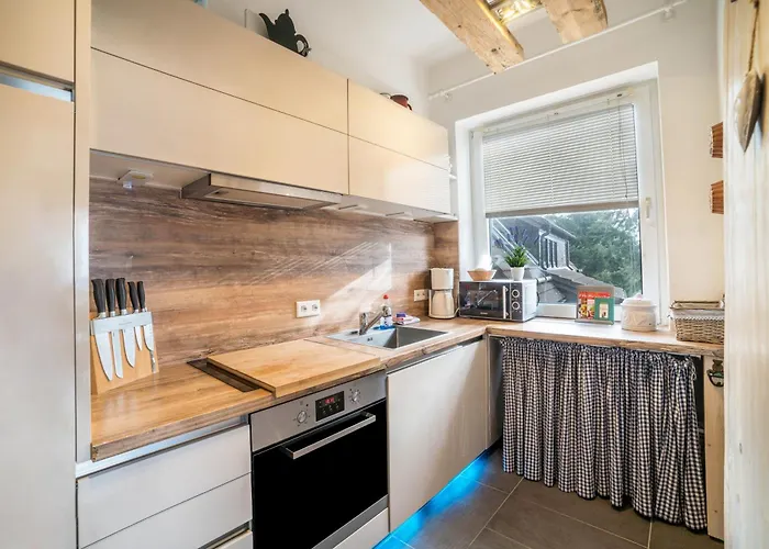 Harzperle Nr 6 公寓 布劳恩拉格