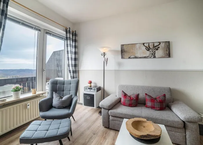 公寓 Harzperle Nr 6 *